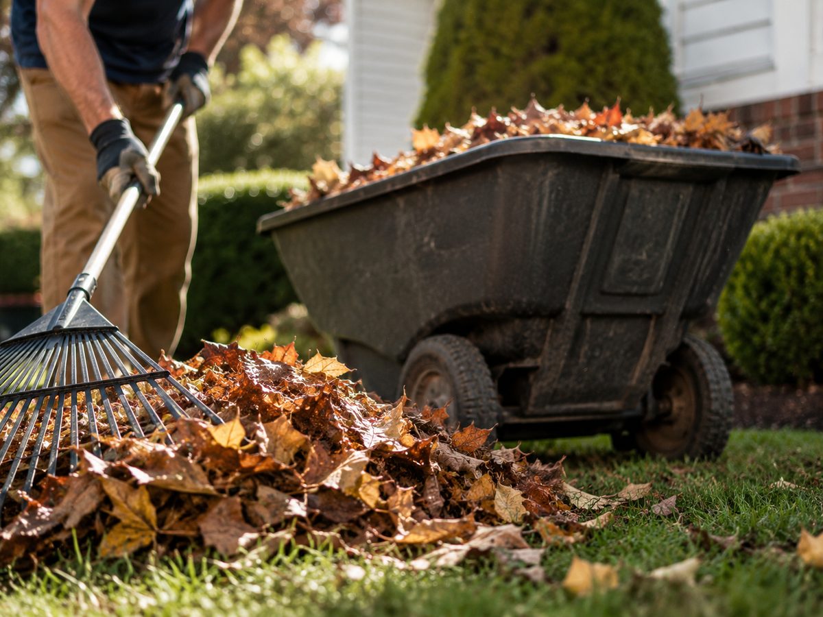 Yard Clean Up & Haul Away